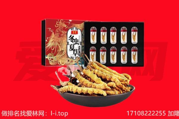 三沙回收虫草.jpg